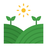 Outdoor & Landscaping